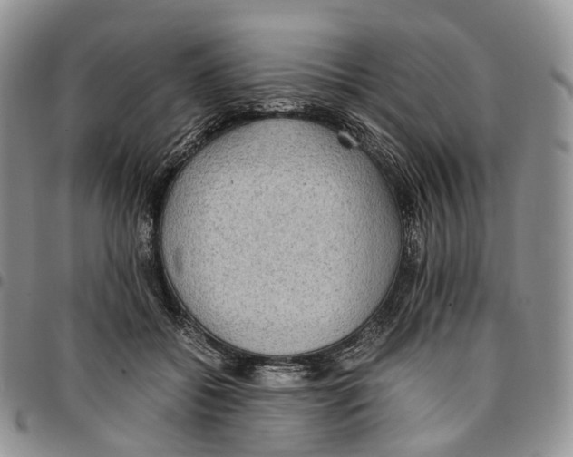 X0000096700556200803041323