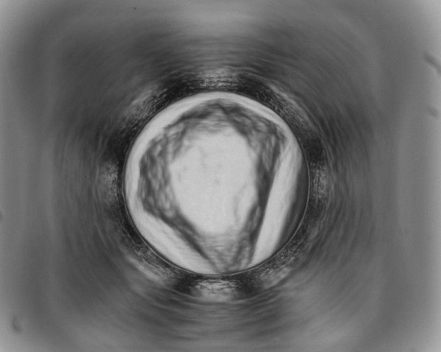 X0000096700557200803041323