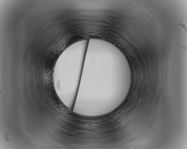 X0000096700559200803041323