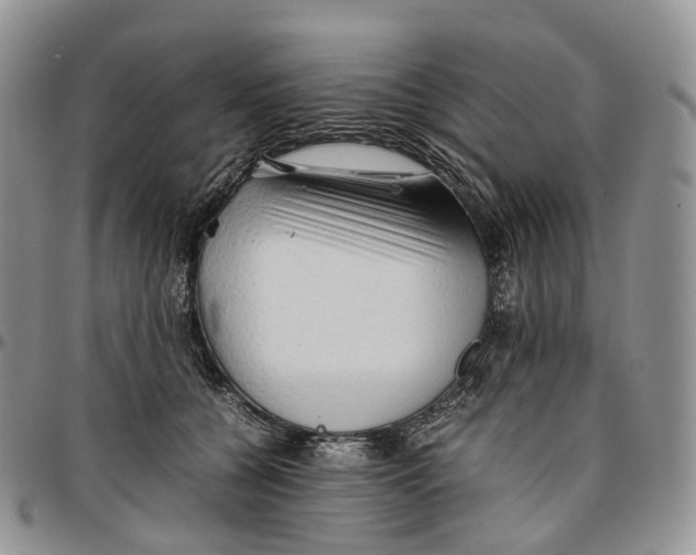 X0000096700560200803041323