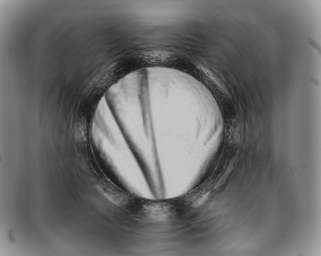 X0000096700561200803041323