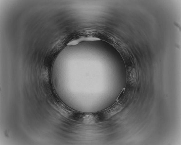 X0000096700562200803041323
