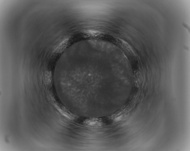 X0000096700563200803041323