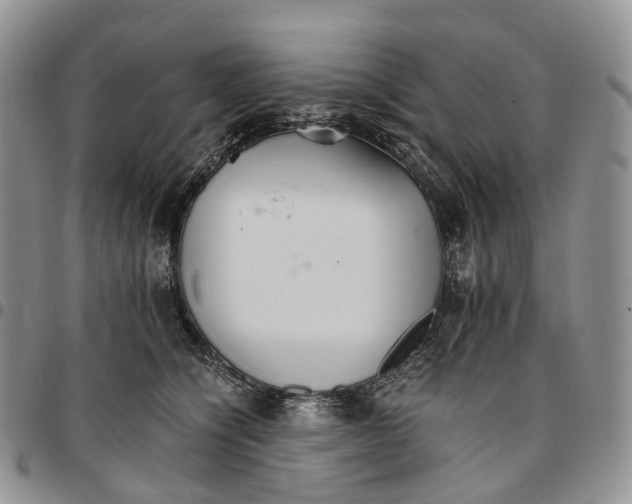 X0000096700564200803041323
