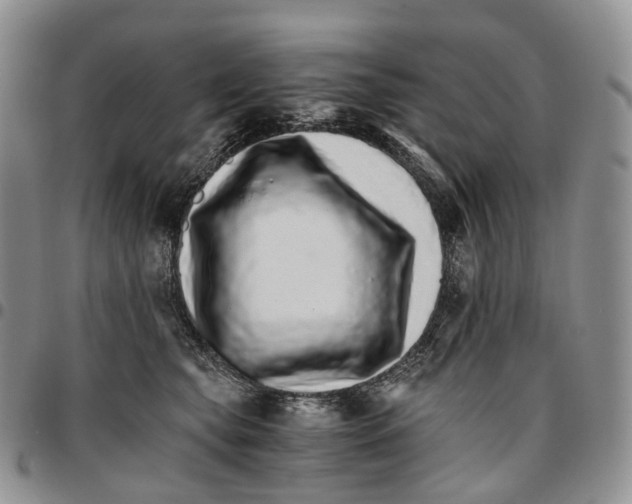 X0000096700565200803041323