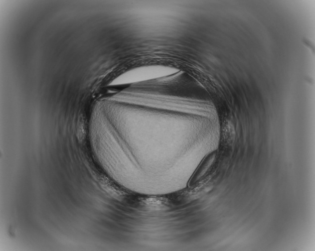 X0000096700566200803041323