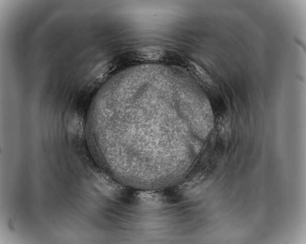 X0000096700568200803041323