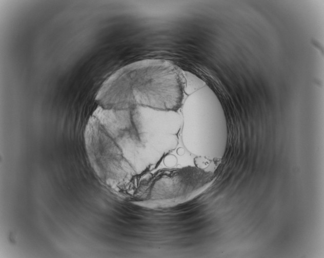 X0000096700573200803041323