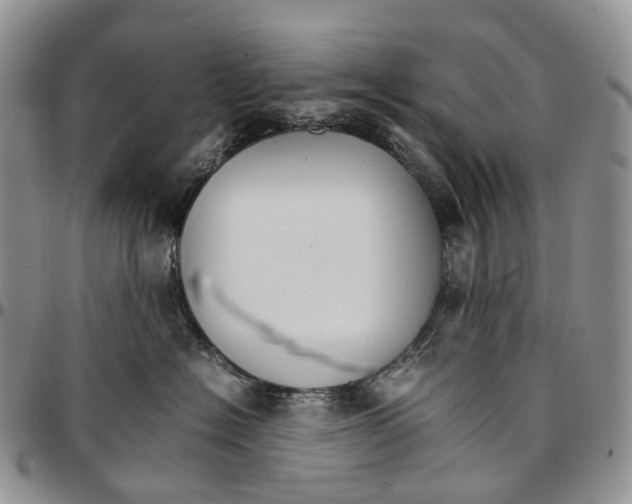 X0000096700574200803041323