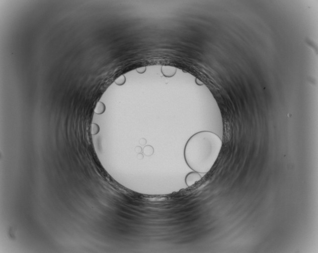 X0000096700575200803041323