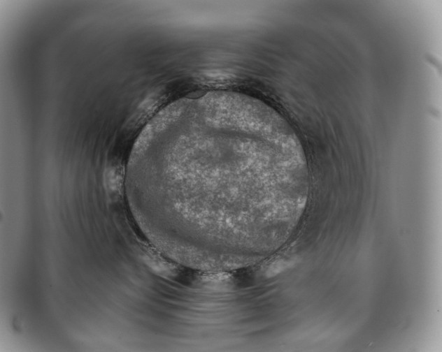 X0000096700576200803041323