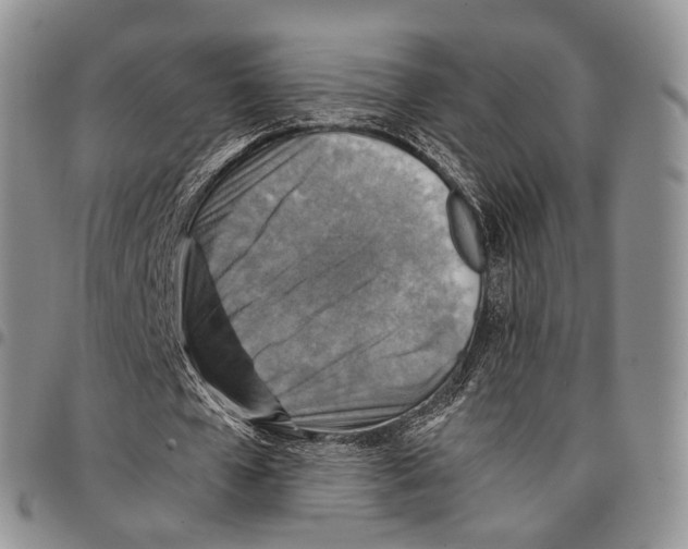 X0000096700577200803041323