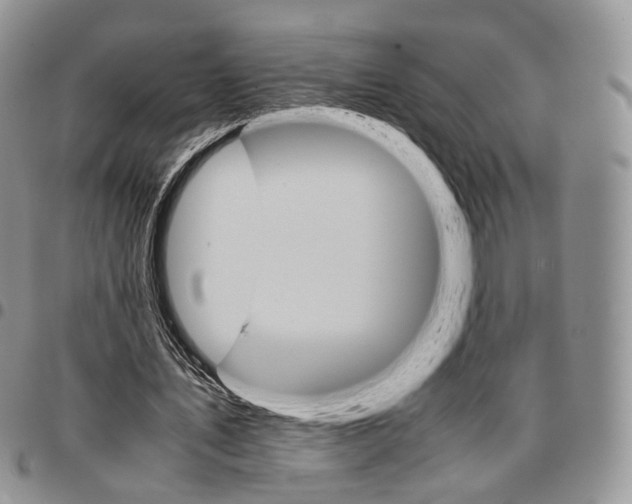 X0000096700579200803041323