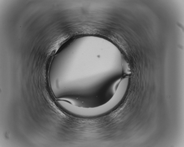 X0000096700581200803041323