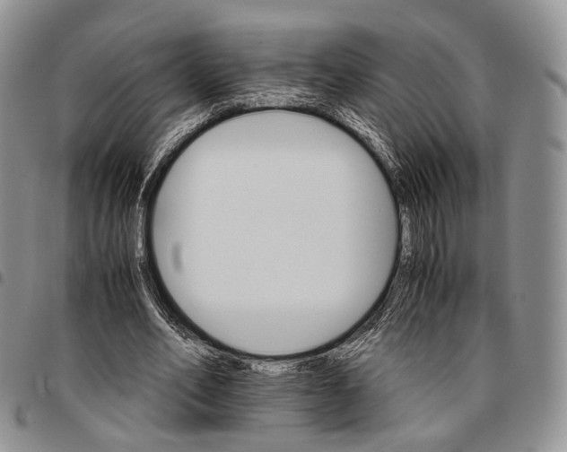X0000096700582200803041323