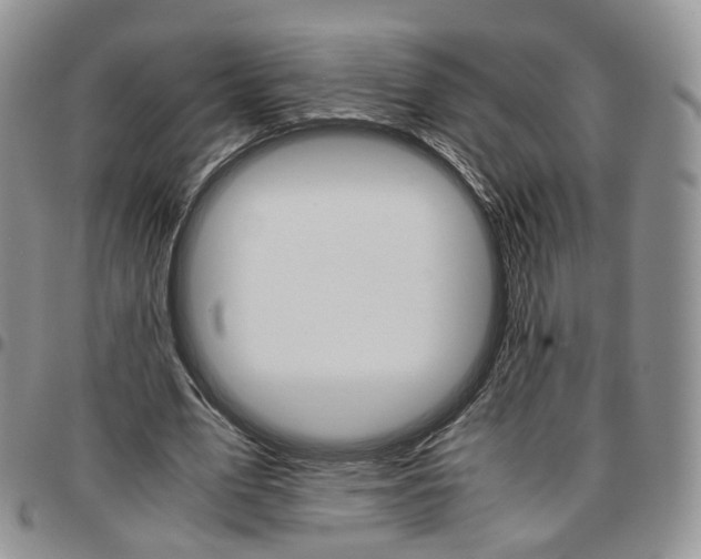 X0000096700583200803041323