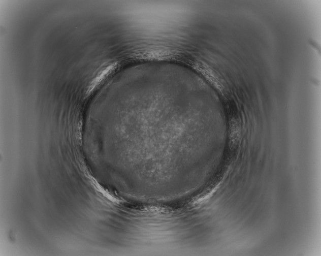 X0000096700585200803041323