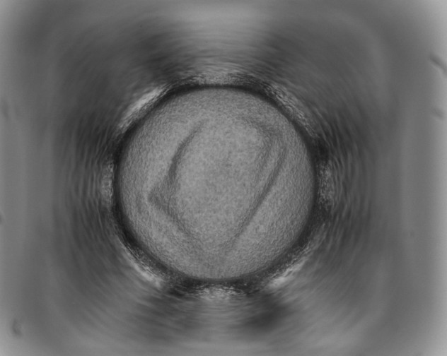 X0000096700586200803041323
