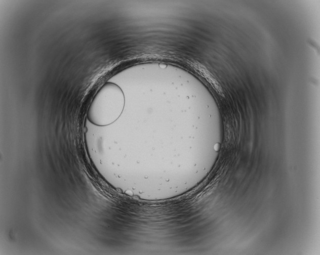 X0000096700588200803041323