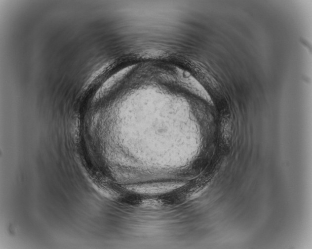 X0000096700591200803041323