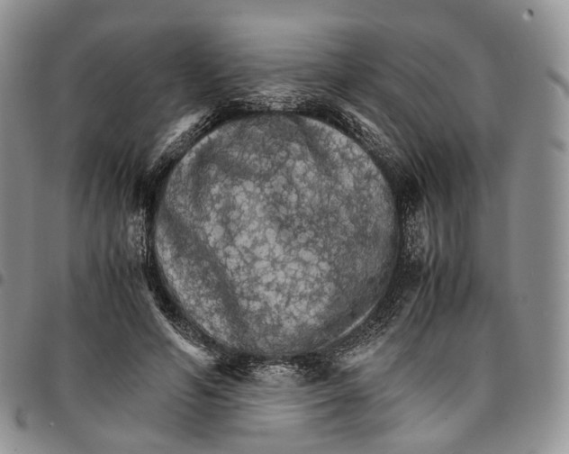 X0000096700594200803041323
