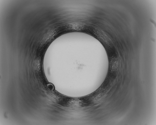 X0000096700595200803041323
