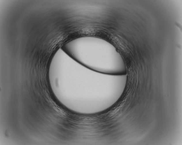X0000096700597200803041323