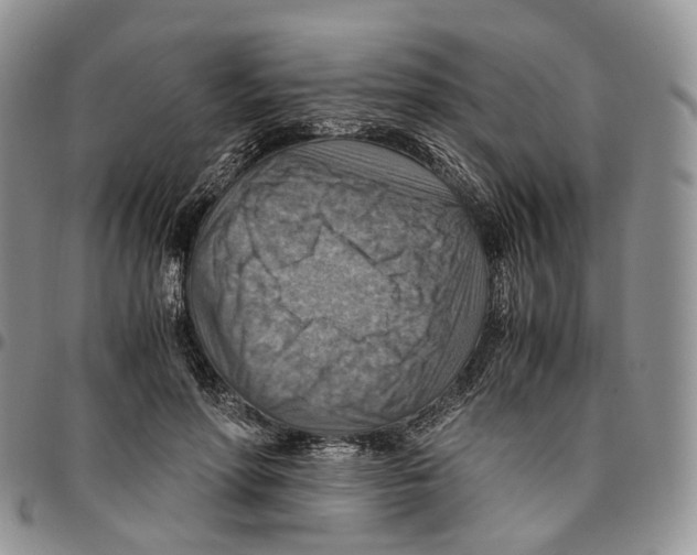 X0000096700598200803041323