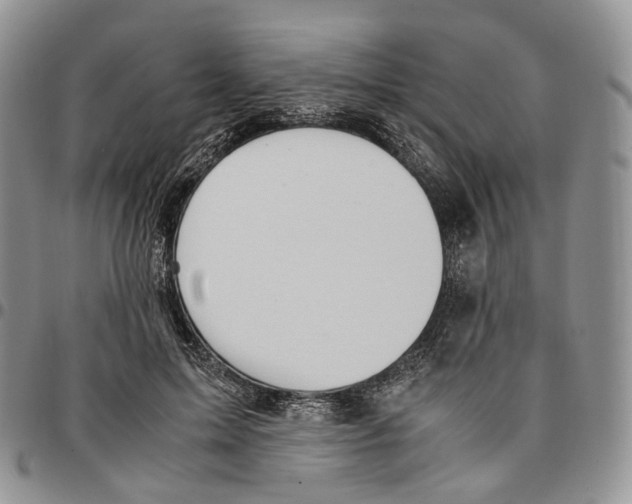 X0000096700599200803041323