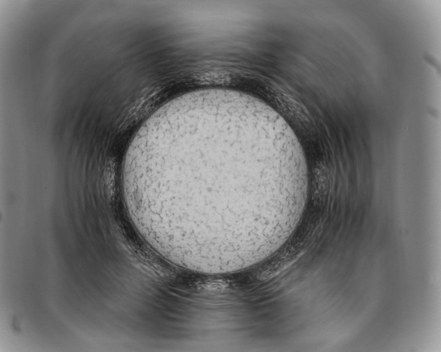 X0000096700600200803041323