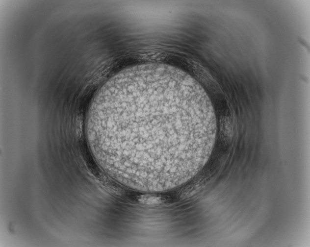 X0000096700602200803041323