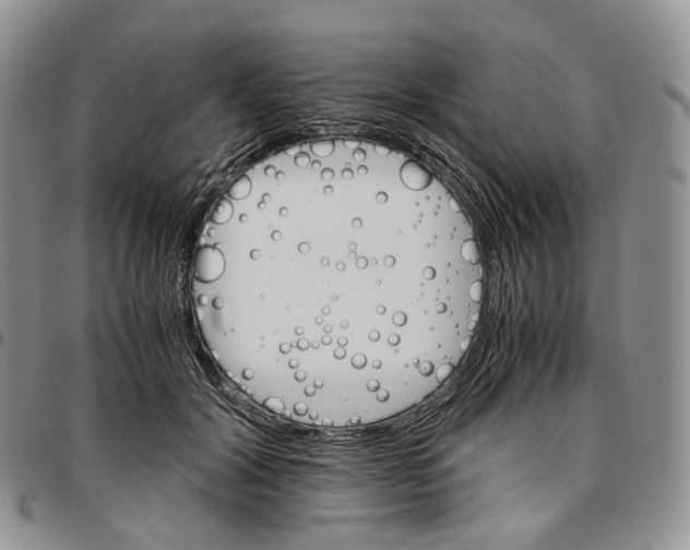 X0000096700604200803041323