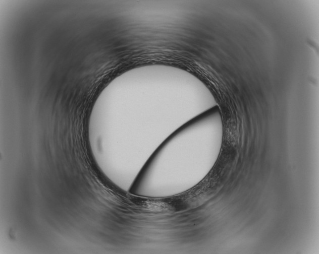 X0000096700605200803041323
