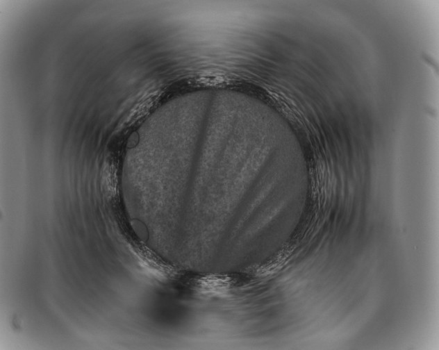X0000096700606200803041323