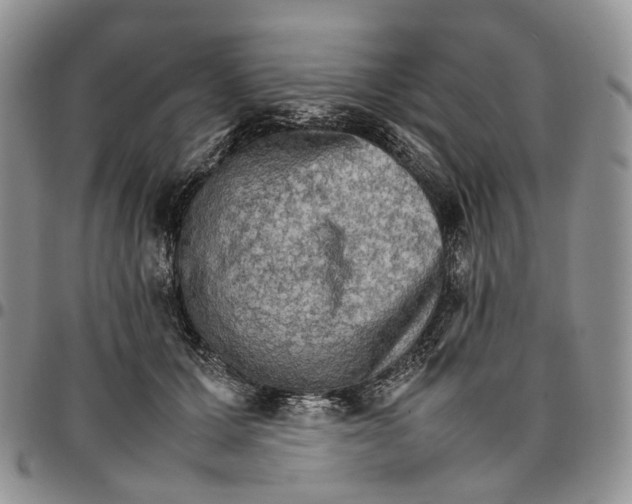 X0000096700607200803041322