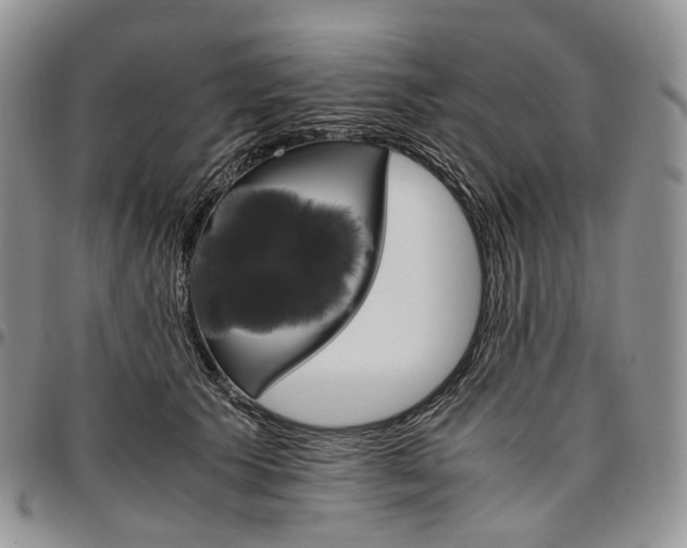 X0000096700609200803041322