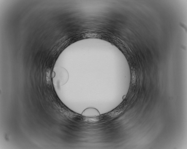 X0000096700610200803041322