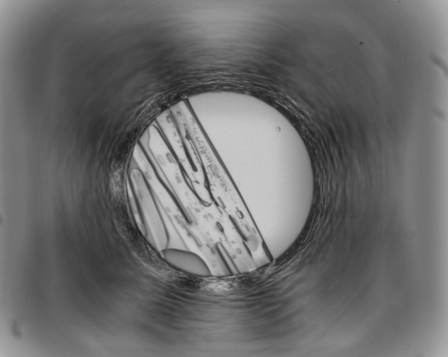 X0000096700611200803041322