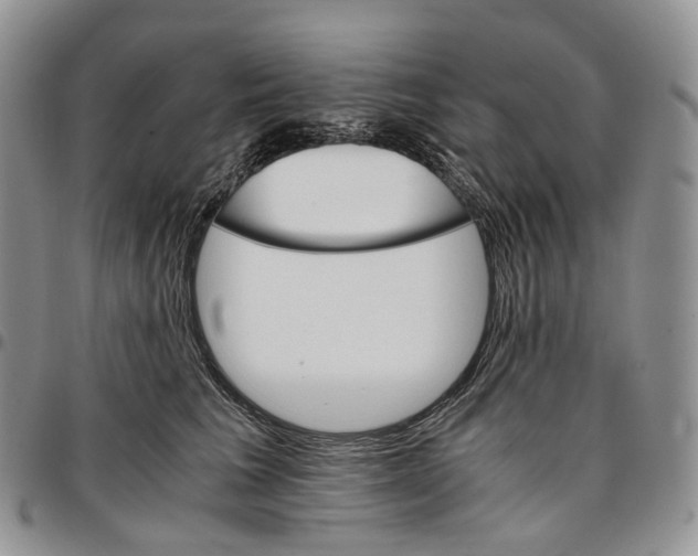 X0000096700613200803041322