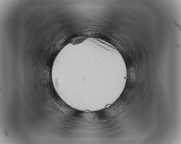 X0000096700615200803041322
