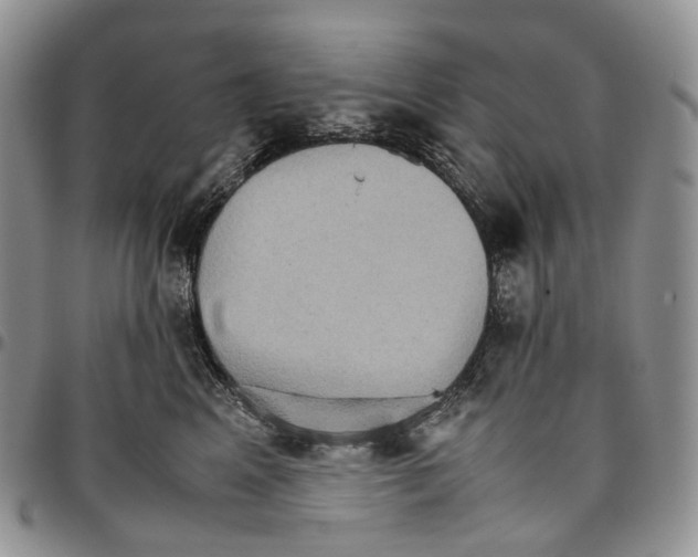 X0000096700617200803041322