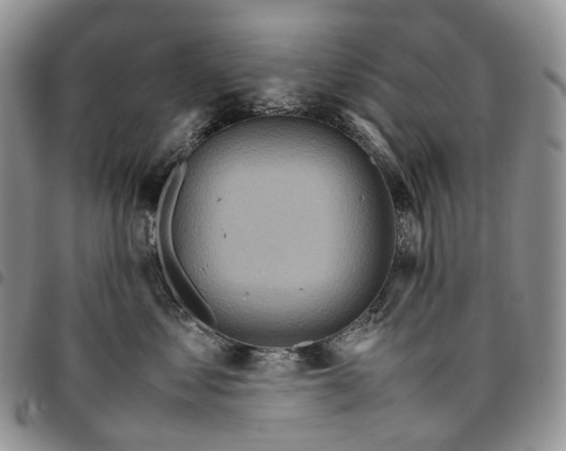 X0000096700621200803041322