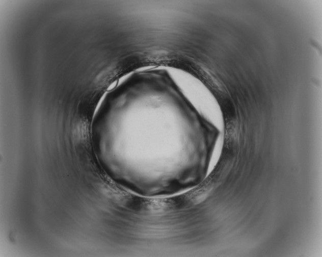 X0000096700623200803041322