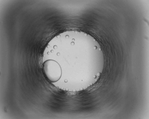 X0000096700624200803041322
