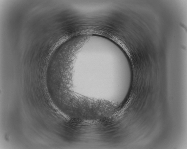 X0000096700625200803041322