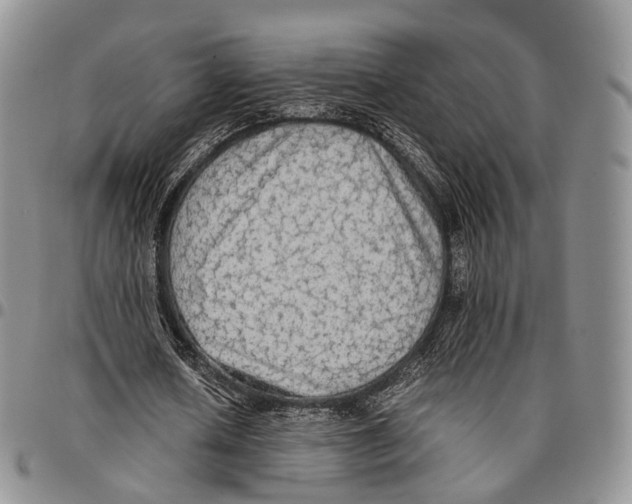 X0000096700626200803041322