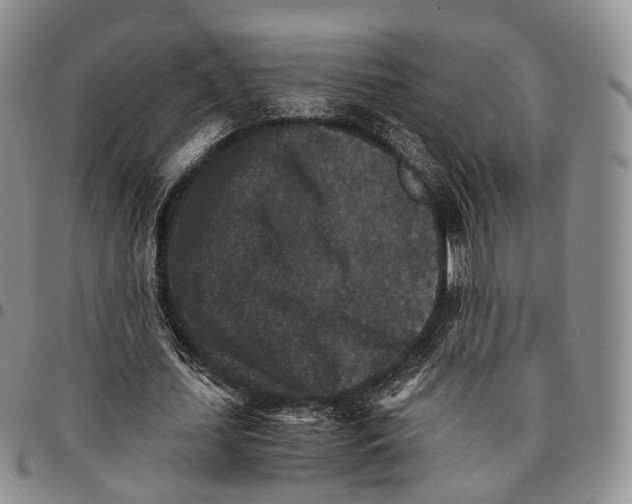 X0000096700627200803041322