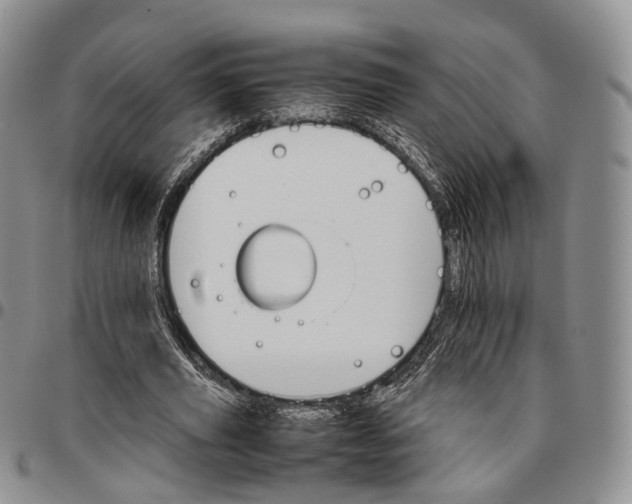 X0000096700629200803041322
