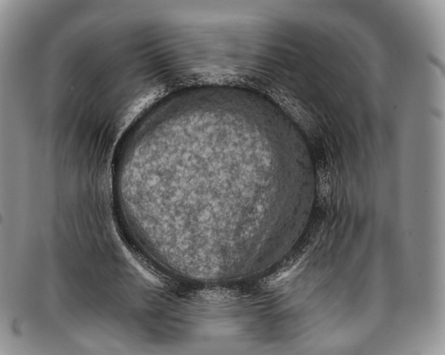 X0000096700630200803041322