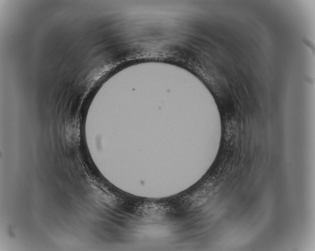 X0000096700632200803041322